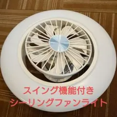 ドウシシャ DCC-SW08EC サーキュライトEZシリーズ スイング8畳のサムネイル