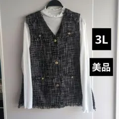 月湖様専用☆シアートップス　カットソー大きいサイズ3L 白