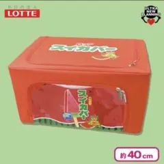 ロッテ　スカイバー　窓付き収納ケース