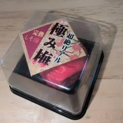 超絶リアル 極み梅 5年熟成 梅干し（スクイーズ） - メルカリ
