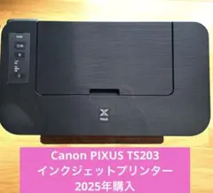 TS203 CANON純正インク付 ☆ 未使用 プリンター 本体 印刷機DR11 