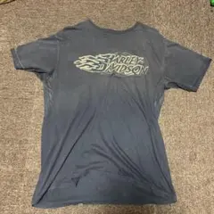 Item thumbnail for item bb56f179-974b-42fa-9e93-5f7596b03a24