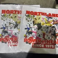 Item thumbnail for item 7b13b016-112e-40af-a1a6-19a69f2befab