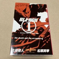 BLEACH ~Letters From The Other Side~