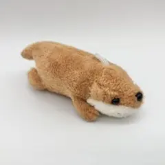 Item thumbnail for item 4841b2d8-334f-4505-a1ef-aef6f42a131e