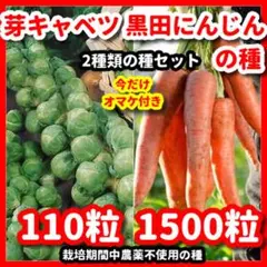 マリリン様 リクエスト 2点 まとめ商品