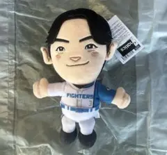 北海道日本ハムファイターズ 選手ぬいぐるみ 郡司裕也