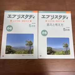 2026年最新】エブリスタディの人気アイテム - メルカリ