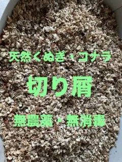 천연 참나무, 참나무 조각, 톱밥, 곤충 사육, 파충류 바닥재, 오브제, 인테리어