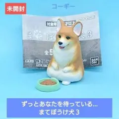 人気【©️BANDAI】ずっとあなたを待っている… まてぼうけ犬３ コーギー