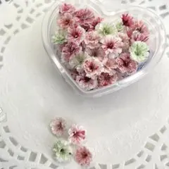 かすみ草ドライフラワー さくらオレンジmix - メルカリ