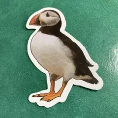 2025年最新】ツノメドリの人気アイテム - メルカリ