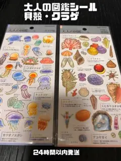 H*i様 大人の図鑑シール 貝殻・クラゲ 2シートセット(即日配送)