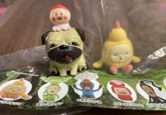 こびとづかん シークレット レア ガルシア＆カクレモモジリ　ヒヨッコ2個セット