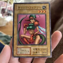 キャツツ・フェアリー 1100/900