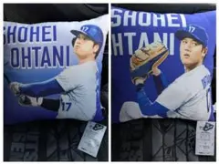 Item thumbnail for item dcfbcbd5-d3fa-44d0-9076-1f2a3182eda4