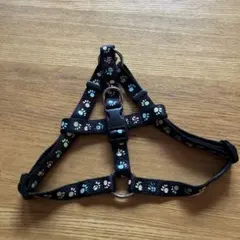 Item thumbnail for item ae8804b0-3646-4918-96ba-29857d09744c