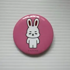 【エスクプス】SEVENTEEN 缶バッジ MINITEEN