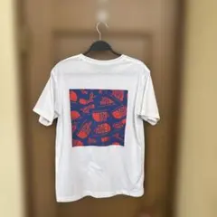 人気デザイン☆THE NORTH FACEノースフェイス Tシャツ