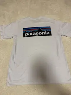 patagonia ホワイト 半袖Tシャツ