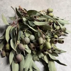 Ne*様 リクエスト 2点 まとめ商品