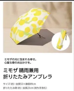 2026年最新】ロクシタン 傘の人気アイテム - メルカリ
