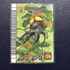 2025年最新】キプルツヤクワガタの人気アイテム - メルカリ