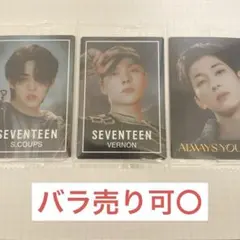 セブチ ウエハース エスクプス ウォヌ バーノン