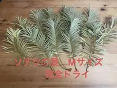 2026年最新】蘇轍の人気アイテム - メルカリ