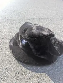 ディズニー バケハ ミッキー 黒