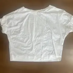 Item thumbnail for item 8779f112-e633-478d-8aa5-8aa42e2f6ace