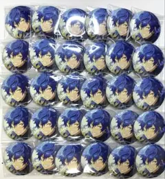 漣ジュン イベコレ 缶バッジ 30点