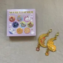 ディズニー シークレットチャーム
