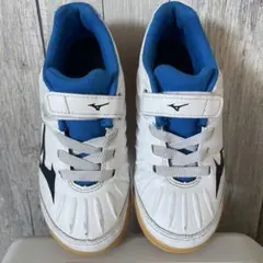 Item thumbnail for item 437b570c-f472-47fa-83bf-26e43885fa67