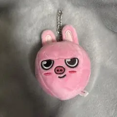 2025年最新】SKZOO ぬいぐるみ チャンビンの人気アイテム - メルカリ