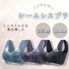 ナイトブラ シームレス 2L 3枚セット LL XL 着痩せ 小さ ノンワイヤー