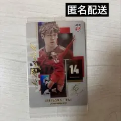 バレーボール ウエハース 石川祐希 レア