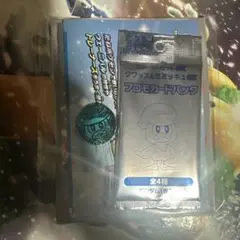 スターターセット クワッス＆ミミッキュex 付属品