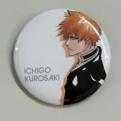 bleach ハロウィンver. 缶バッジ 10個セット 黒崎一護 予約】BLEACH トレーディング缶バッジ BLEACH×CGC Ver.(セット