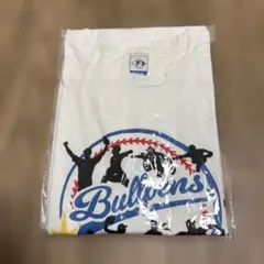 北海道日本ハムファイターズ　応援グッズ