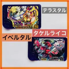 ポケモンフレンダ タケルライコ 第5弾 ST & イベルタル 第5弾 ST
