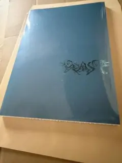 【新品未開封】ALD1 少年BEAST Cementic Nest Ver