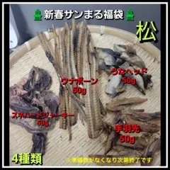 Item thumbnail for item 05a30683-9e66-4561-8aaa-c2999e8a88ea