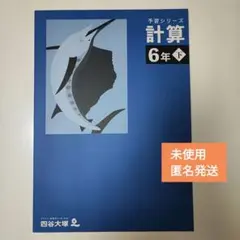 【新品未使用】学習シリーズ 計算 6年 下