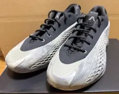 アンソニーエドワーズ 27.5