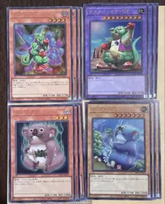 遊戯王ビックコアラ　デスコアラ　デスカンガルー　マスターオブＯＺ　ウルトラ