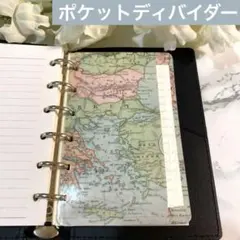 ミニ6 システム手帳 インデックス レトロフラワー ディバイダー