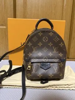 Louis Vuitton パームスプリングス バックパック MINI