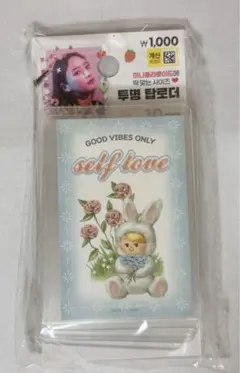 韓国 硬質ケース