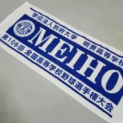 Item thumbnail for item 68763ceb-bab8-4f5d-8162-c63d3f1da0cc